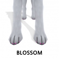 Blossom Paw Polish