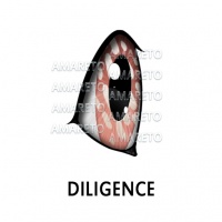 Diligence