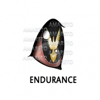 Endurance