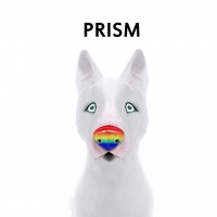 Prism