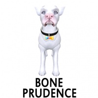 Bone - Prudence