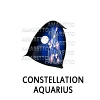 Constellation - Aquarius February 1 - February 28, 2021