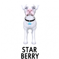 Star- Berry