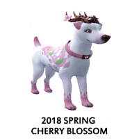 2018 Spring Cherry Blossom