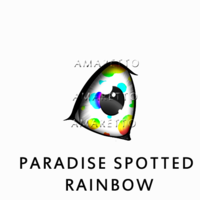 Paradise Spotted Rainbow