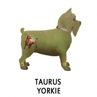 Taurus Yorkie