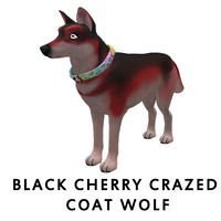 Black Cherry Crazed Coat Wolf