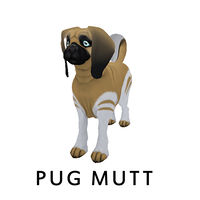 Pug Mutt