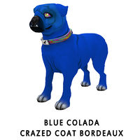 Blue Colada Crazed Coat Bordeaux