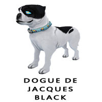 Dogue de Jacques Black