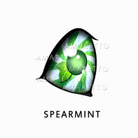 Spearmint