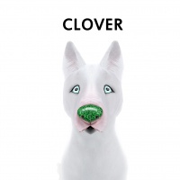 Clover