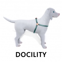 Docility