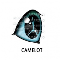 Camelot Eye