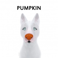 Pumpkin Nose