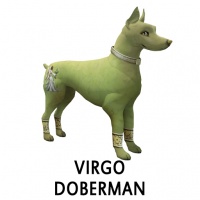 Virgo Doberman