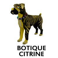 Botique Citrine