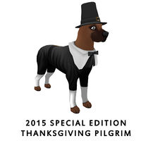 2015 Special Edition - Thanksgiving Pilgrim