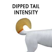 Dipped Tail Intensity