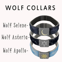 Wolf Collars