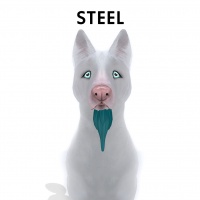 Steel