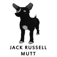 Jack Russell Mutt