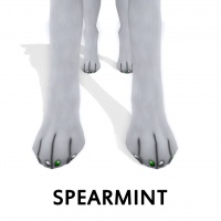 Spearmint Paw Polish