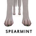 SPEARMINPawPolish.jpg