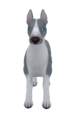 EnglishBullTerrierColoredSilver.png