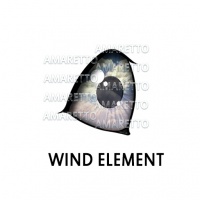 Wind Elemental Eye