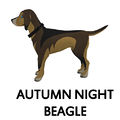 Autumn night Beagle2.jpg