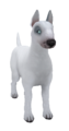 EnglishBullTerrierStandardSilver.png