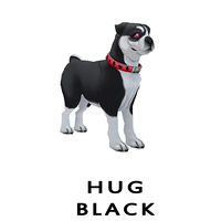 Hug Black