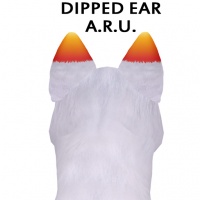 Dipped Ear A.R.U.