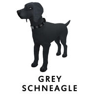 Grey Schneagle