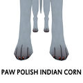 Indian Corn.jpg