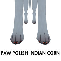 Indian Corn Paw Polish