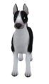 EnglishBullTerrierColoredBlack.png