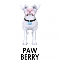 Paw- Berry