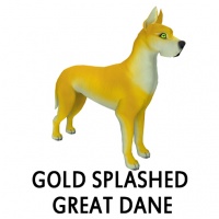 Gold Splashed Great Dane