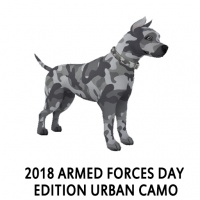 2018 Armed Forces Day Edition - Urban Camo