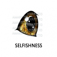 Selfishness