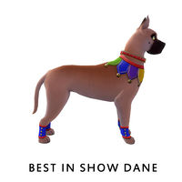 Best In Show Dane