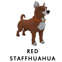 Red Staffhuahua