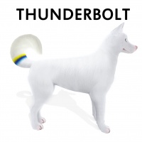 Dipped Tail Thunderbolt