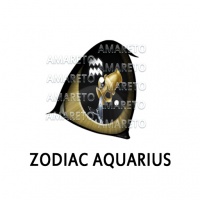 Zodiac Aquarius Eye