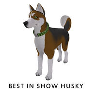 Best in Show Husky