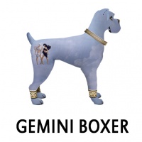 Gemini Boxer