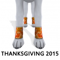 Paw Warmer Thanksgiving 2015