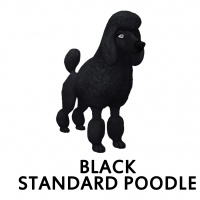 Black Standard Poodle